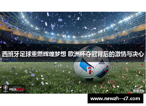 西班牙足球重燃辉煌梦想 欧洲杯夺冠背后的激情与决心