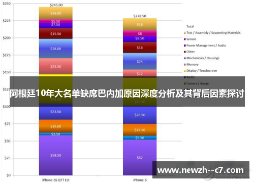 阿根廷10年大名单缺席巴内加原因深度分析及其背后因素探讨 阿根廷10年大名单缺席巴内加原因深度分析及其背后因素探讨