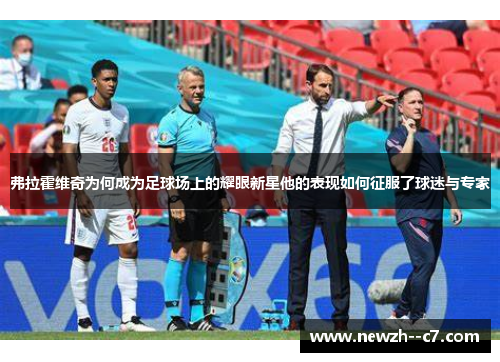 弗拉霍维奇为何成为足球场上的耀眼新星他的表现如何征服了球迷与专家