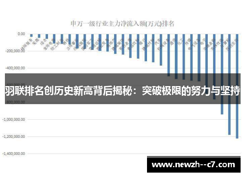 羽联排名创历史新高背后揭秘：突破极限的努力与坚持