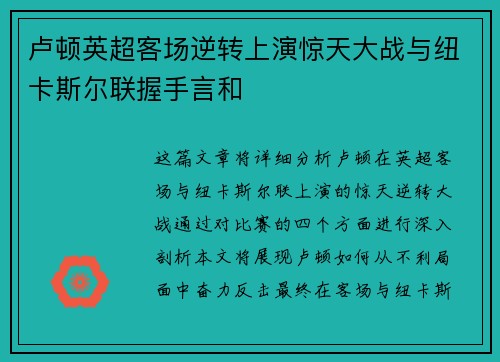 卢顿英超客场逆转上演惊天大战与纽卡斯尔联握手言和 卢顿英超客场逆转上演惊天大战与纽卡斯尔联握手言和